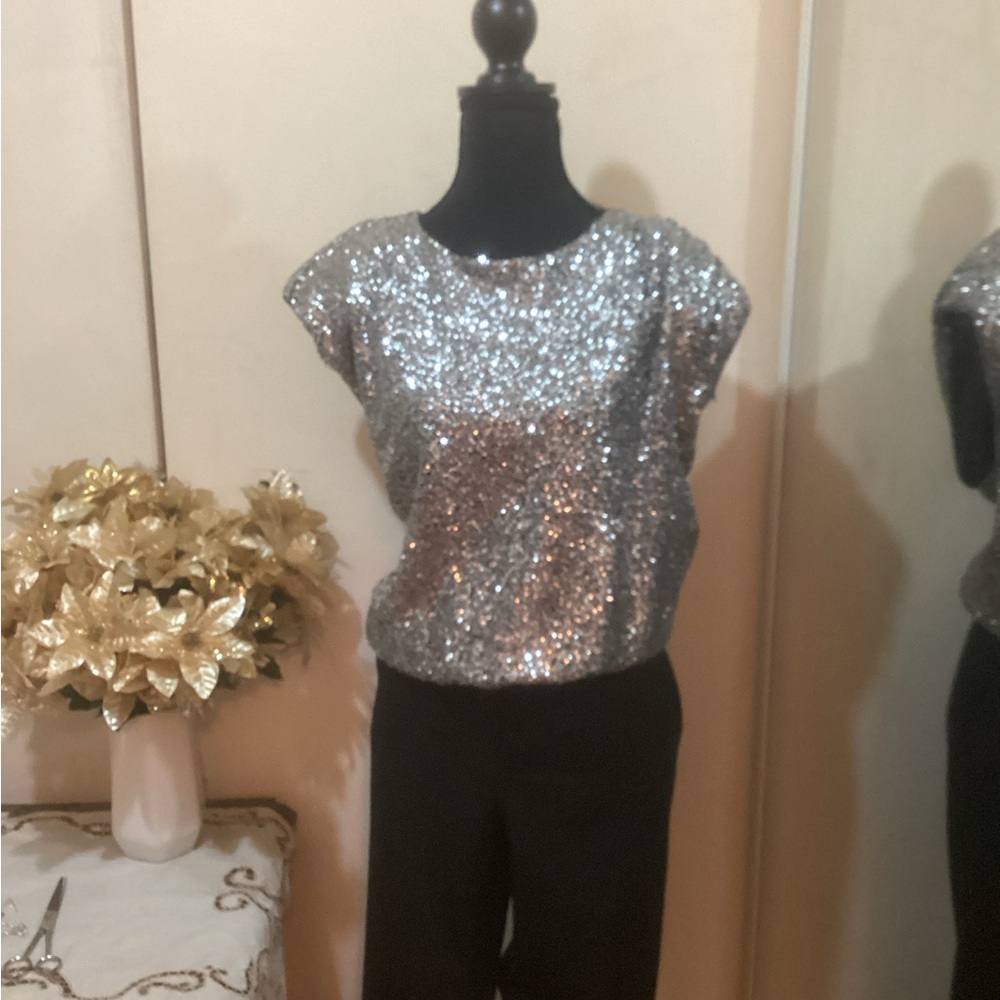 NWT Express Dressy Silver Sequin Women's Top